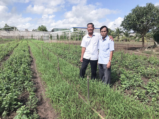 Cựu chiến binh làm kinh tế giỏi