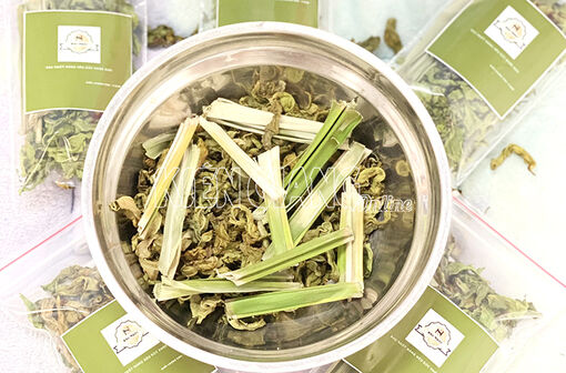 Sinh viên Kiên Giang làm trà và bột từ rau ngót