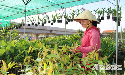 Tiền Giang: Xã Hậu Mỹ Phú phát triển kinh tế gắn với xây dựng Đảng