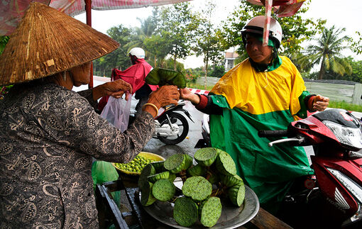 Sạp trái cây ven đường