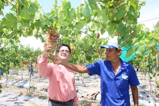 Huyện Chợ Mới phấn đấu đạt và vượt các chỉ tiêu