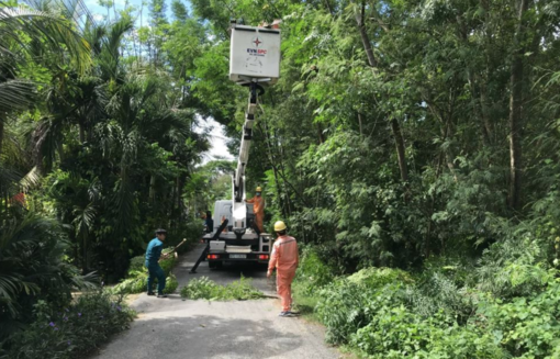 Chung tay bảo vệ hành lang an toàn lưới điện tại địa phương