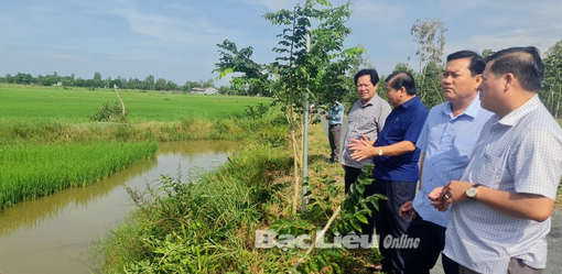 Bạc Liêu: Kiểm tra, thẩm định bộ tiêu chí xây dựng nông thôn mới nâng cao tại xã Phong Thạnh Đông, TX. Giá Rai