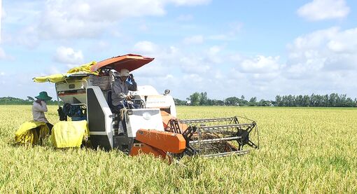 Châu Phú tăng tốc phát triển kinh tế - xã hội