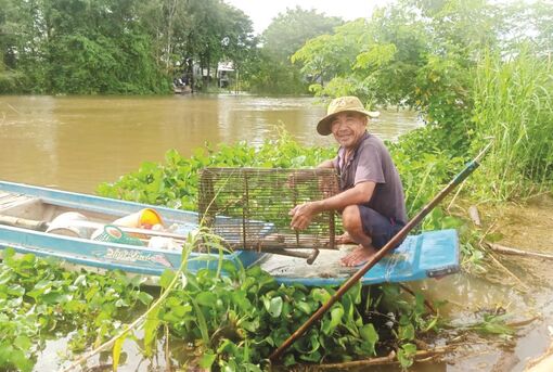 Sinh kế mùa lũ