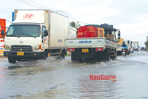 Hậu Giang: Chật vật với triều cường