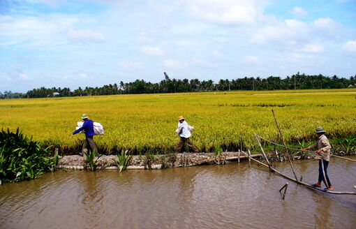 Du lịch sinh thái Tây Nam Bộ trở lại