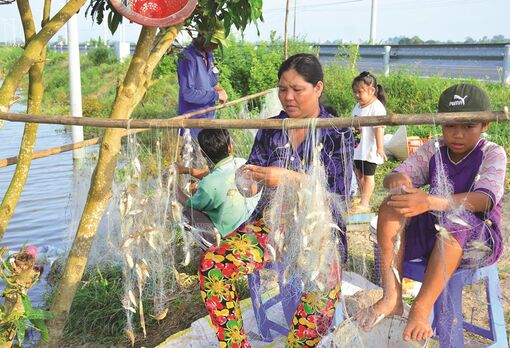 Lũ lớn,ngư dân phấn khởi