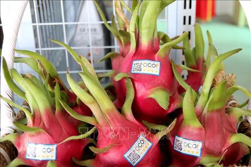 Để trái cây Việt Nam tại hiện diện nhiều hơn tại Thái Lan