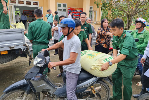 Hỗ trợ 1.240kg lúa giống cho nông dân biên giới Vĩnh Gia