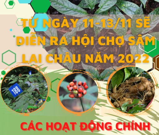 Hội chợ sâm lần đầu tiên được tổ chức tại Lai Châu