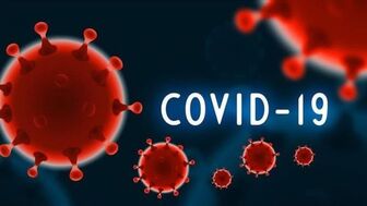 Thế giới ghi nhận gần 638 triệu ca mắc COVID-19