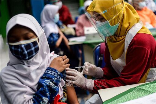 Indonesia phê chuẩn vaccine ngừa COVID-19 sản xuất trong nước