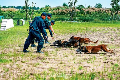 Cà Mau: Ðội quân “đặc biệt”