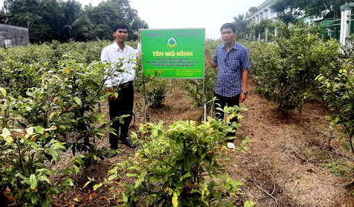 Nông dân Vọng Thê thay đổi để phát triển