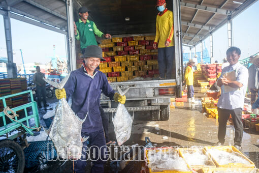 Sóc Trăng: Vượt khó nuôi khát vọng