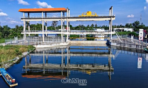 Hiệu quả cống Tiểu vùng Nam Cà Mau