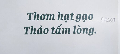 Công bố kết quả thi thiết kế logo nhãn hiệu chứng nhận và slogan sản phẩm gạo An Giang