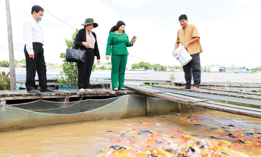 Du lịch canh nông - đòn bẩy phát triển kinh tế