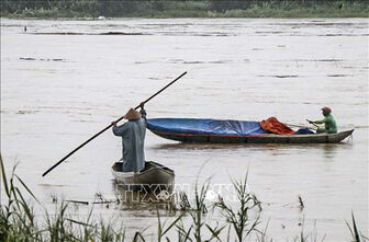 Thời tiết ngày 11/11: Từ Hà Tĩnh đến Quảng Ngãi có mưa rào rải rác