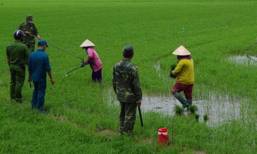 Long An: Bồi dưỡng kiến thức quốc phòng - an ninh cho người dân biên giới