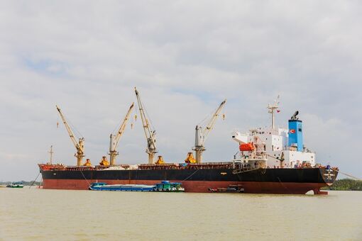 An Giang đẩy mạnh xuất khẩu cuối năm