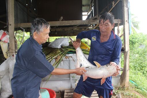 Lợi nhuận từ sản phẩm nông nghiệp giảm