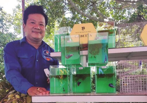 Khi sở thích riêng vừa giải trí, vừa kiếm được tiền
