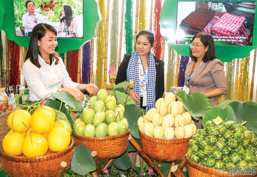 Mekong Connect năm 2022: Chủ động nâng chất lượng liên kết, tích hợp để phát triển bền vững