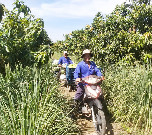 Đưa kinh tế Tân Châu tiếp tục phát triển