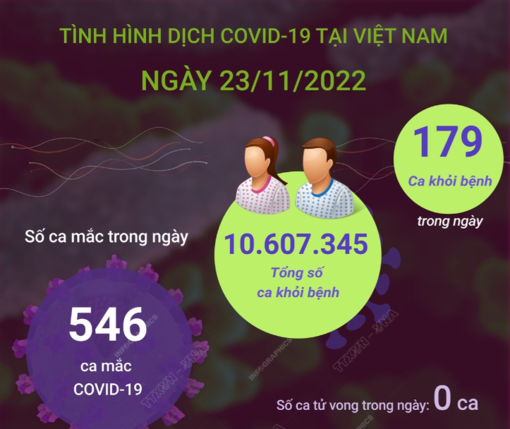 Ngày 23/11: Có 546 ca mắc mới COVID-19, 179 F0 khỏi bệnh