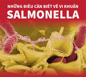 Những điều cần biết về vi khuẩn Salmonella