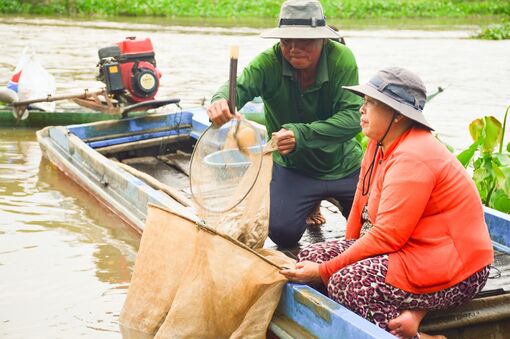 Con nước cuối mùa