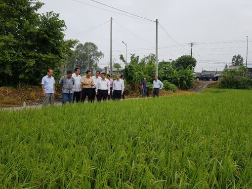 Tập huấn nông dân tham gia VnSAT