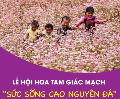 Lễ hội hoa Tam Giác Mạch 'Sức sống cao nguyên đá'