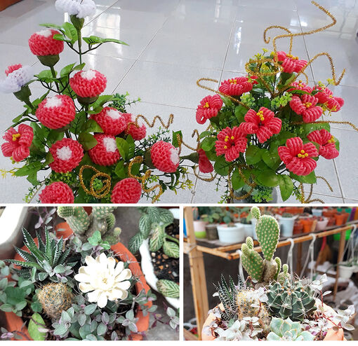 Khởi nghiệp quan tâm đến bảo vệ môi trường