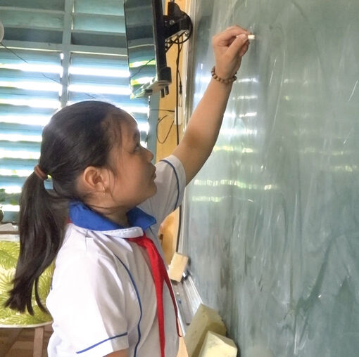 Những bông hoa nhỏ tỏa sáng