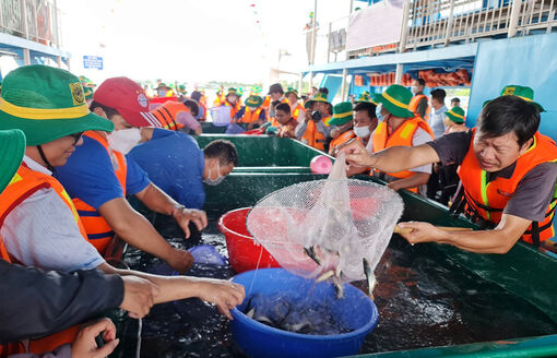 An Giang quyết tâm tăng trưởng nông nghiệp