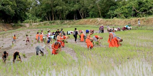 Tịnh Biên vươn tầm đô thị biên giới từ khâu giải quyết việc làm