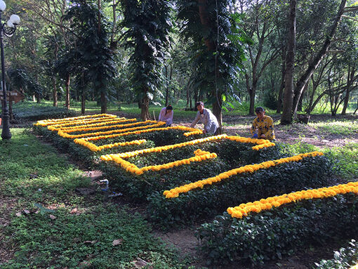 Sẵn sàng cho lễ hội Gò Tháp