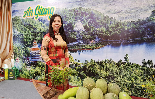 Kết nối tiêu thụ sản phẩm của An Giang