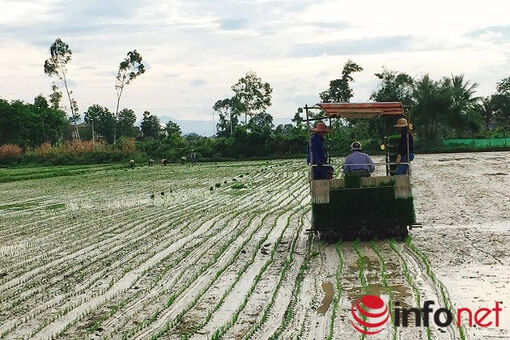 Tiền Giang: Tích cực hỗ trợ kinh tế tập thể phát triển bền vững