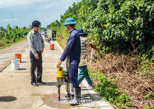 Cà Mau: Khôi phục vành đai xanh