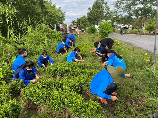 Cần Thơ: Chung tay xây dựng xã nông thôn mới nâng cao