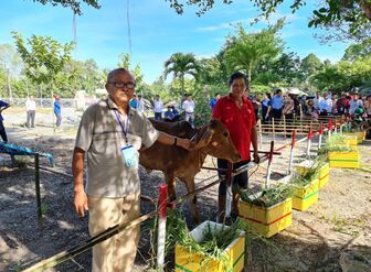 Trao 40 con bò sinh sản cho người khuyết tật huyện Tri Tôn