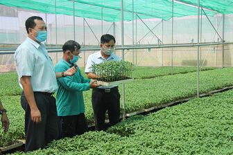 Nông nghiệp Tân Châu tiếp tục tăng trưởng