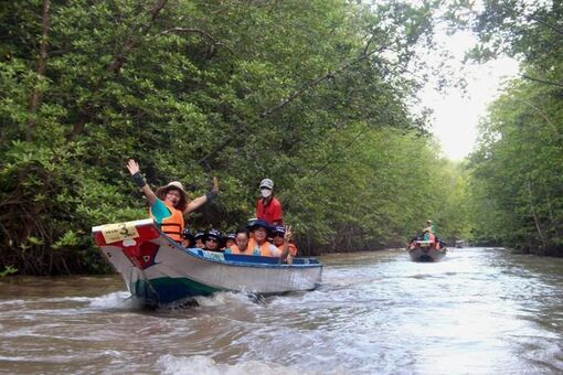 Đi vỏ lãi khám phá rừng Cà Mau