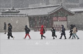 Hàn Quốc tiếp tục nâng mức cảnh báo thiên tai do tuyết rơi dày