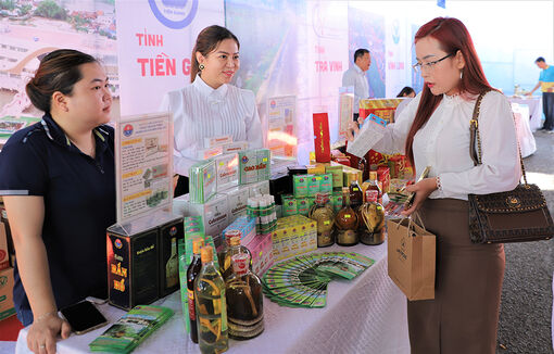 Tăng cường liên kết, phát triển du lịch giữa TP. Hồ Chí Minh và ĐBSCL