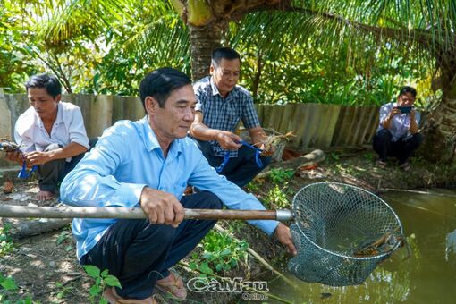 Cà Mau: Trái ngọt trên vùng đất mặn